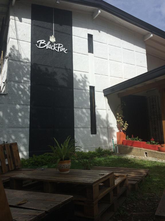 Blackpine Hostel Medellín Exteriér fotografie