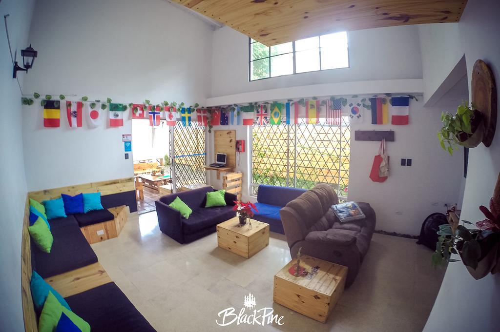 Blackpine Hostel Medellín Exteriér fotografie