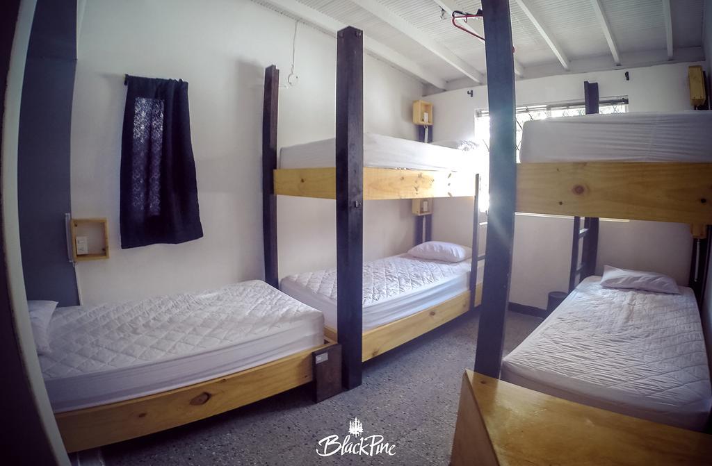 Blackpine Hostel Medellín Exteriér fotografie
