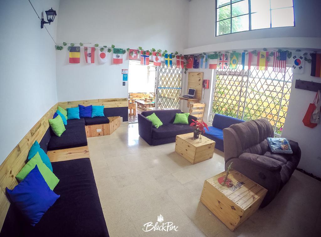 Blackpine Hostel Medellín Exteriér fotografie