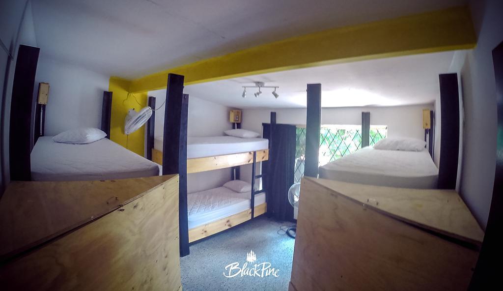Blackpine Hostel Medellín Exteriér fotografie