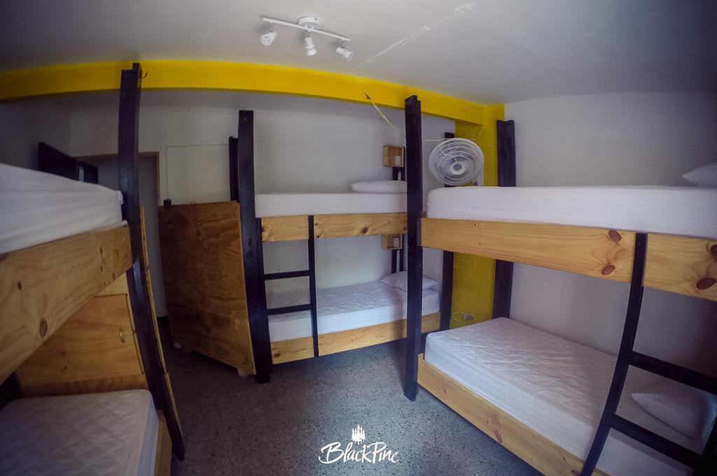 Blackpine Hostel Medellín Exteriér fotografie