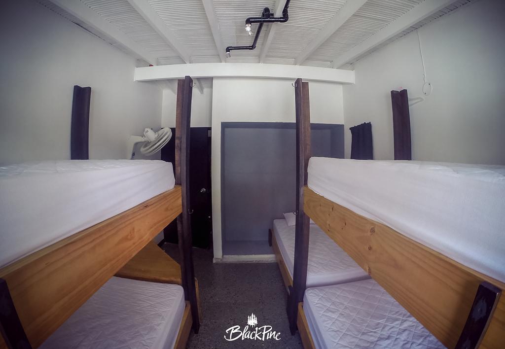 Blackpine Hostel Medellín Exteriér fotografie