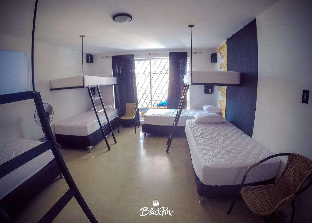 Blackpine Hostel Medellín Exteriér fotografie