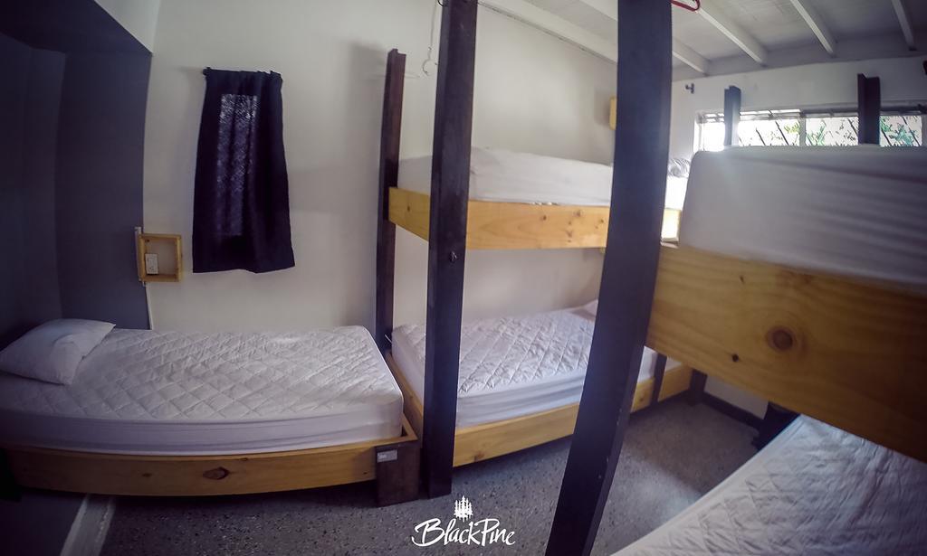 Blackpine Hostel Medellín Exteriér fotografie