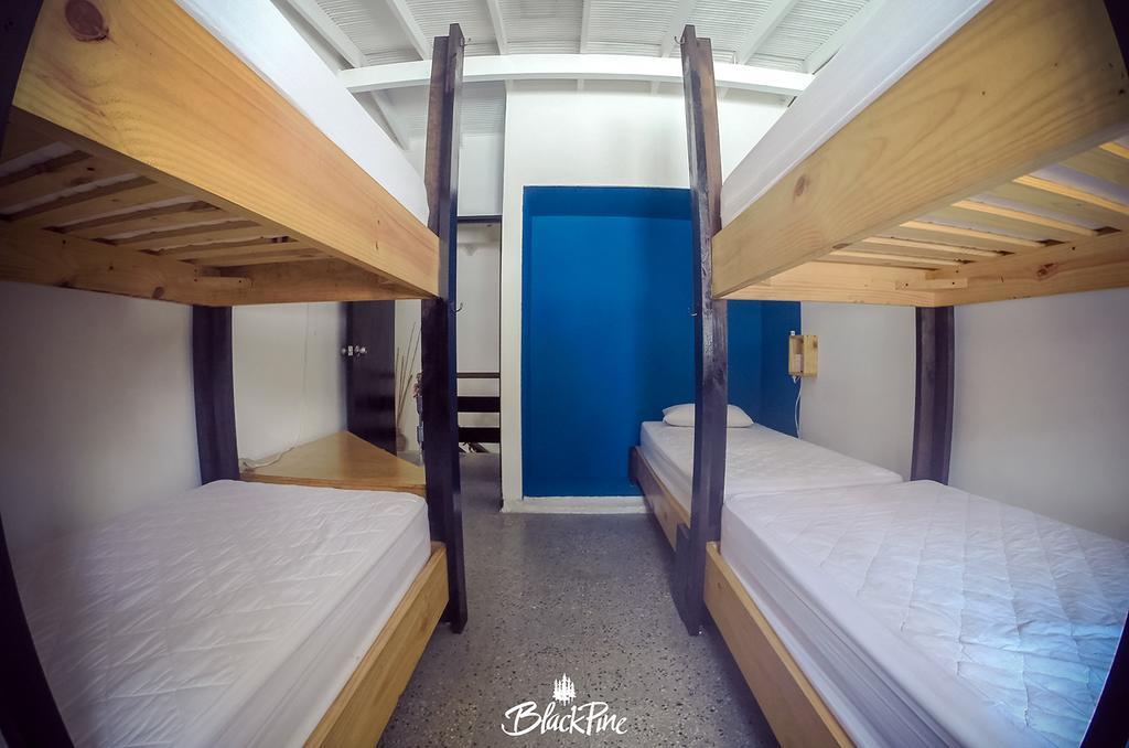 Blackpine Hostel Medellín Exteriér fotografie